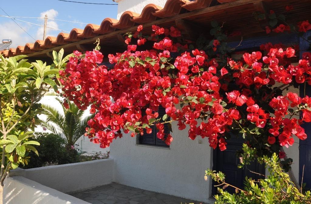 Villa Maria Marathókampos Buitenkant foto